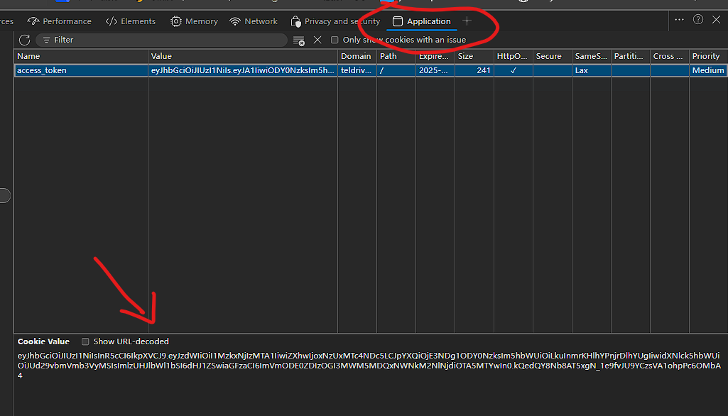 Fetch teldrive cookie